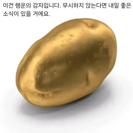 쏘이