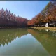 자몽0920