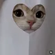 달콤귤