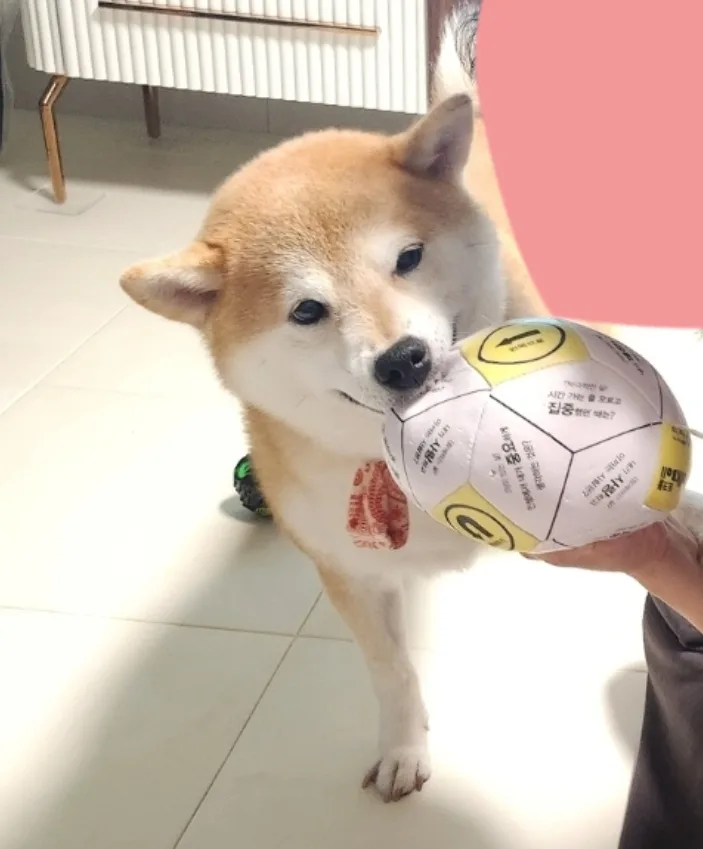 세상하나뿐인