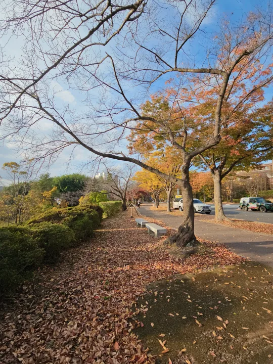 룰루