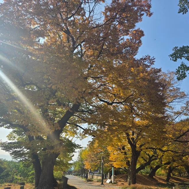 도리도리도리