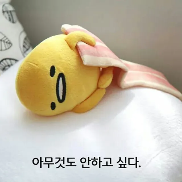 고롱고롱