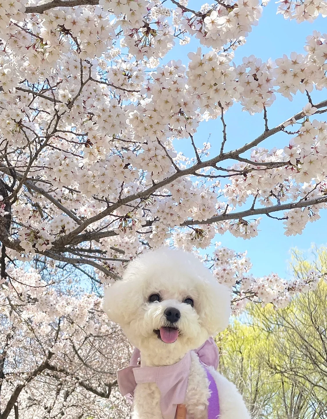 뚜딩