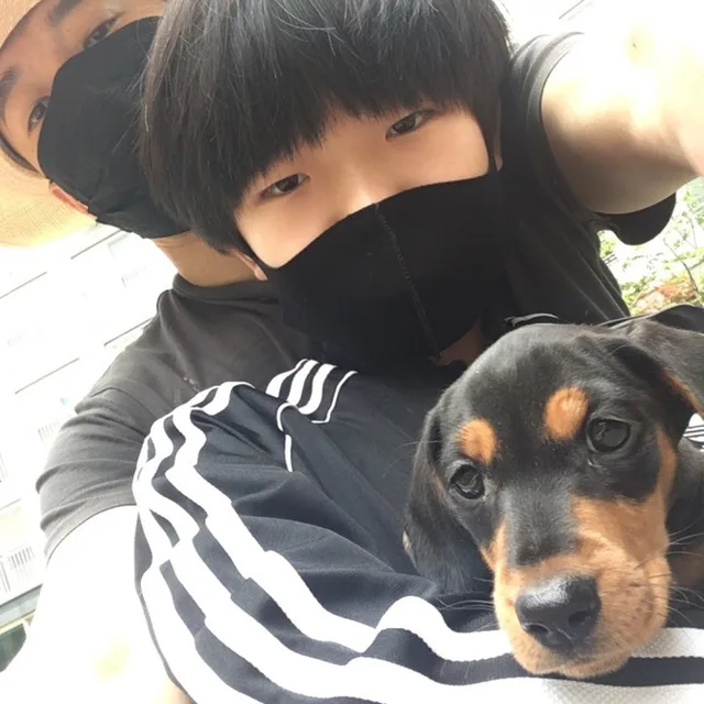 태우파파