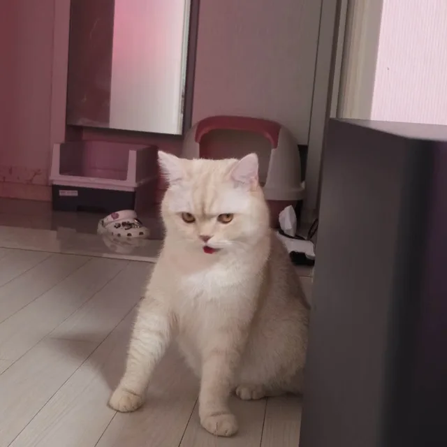 유하유