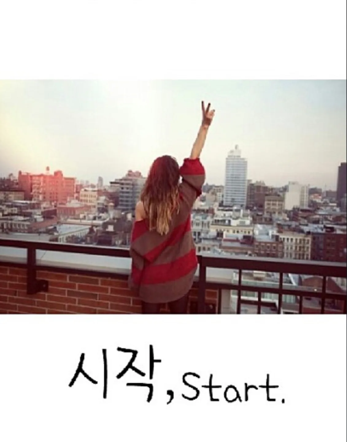 대사헌