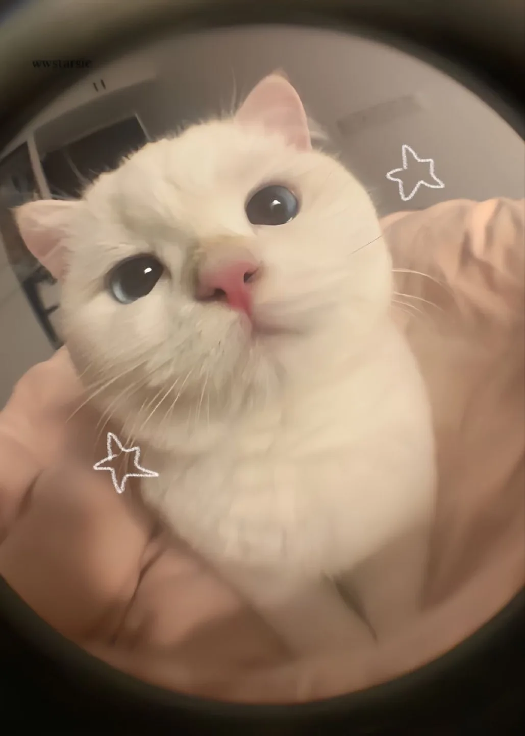 총총