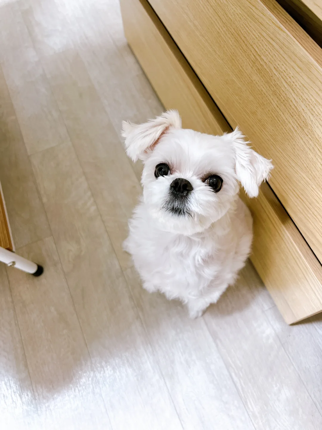 쌈쑨