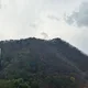 밍밍이