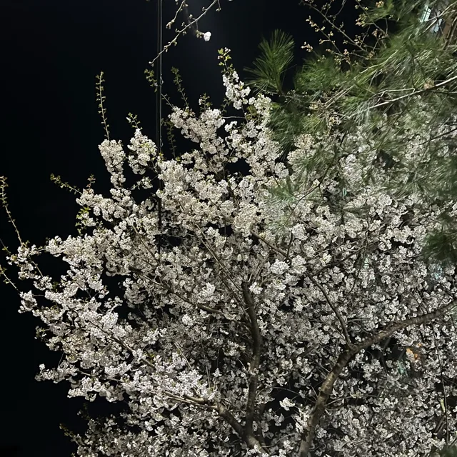 재도