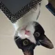 양덕나무꾼