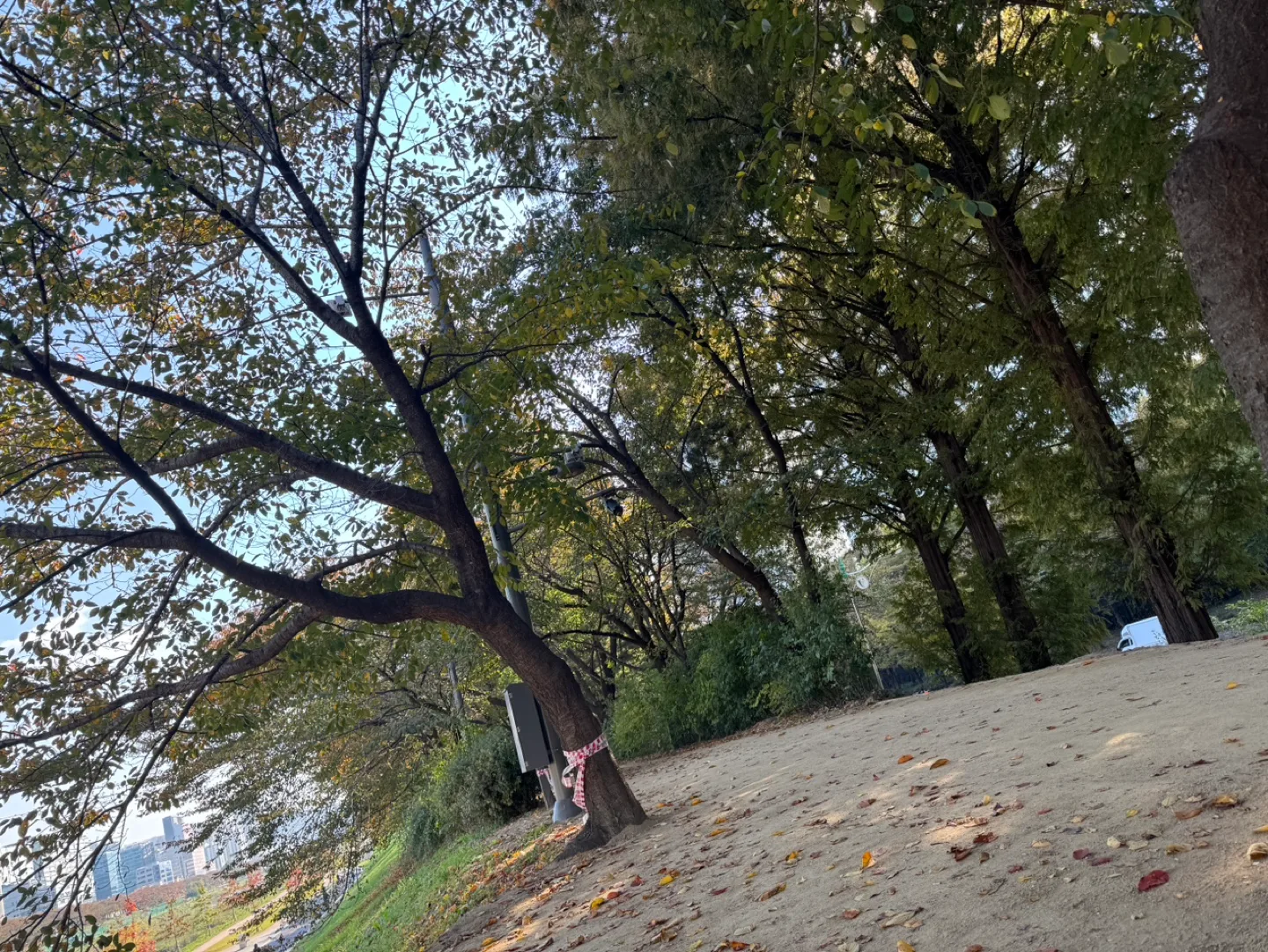 연길따라