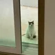 알랑뿡빵