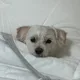 어키