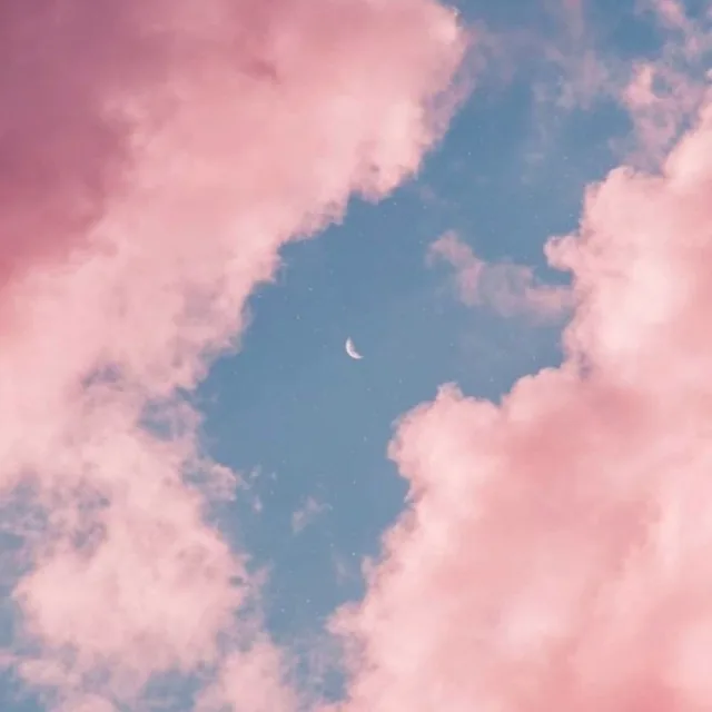 뽀도리