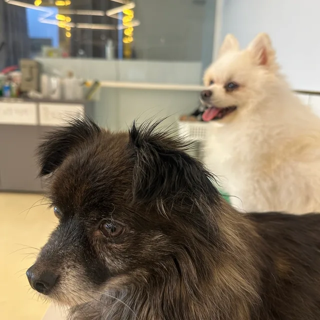 와이티씨