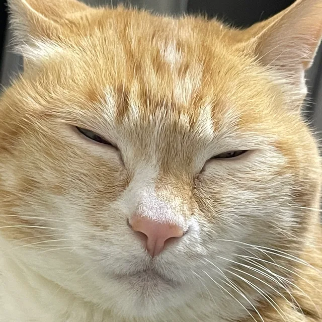 제이