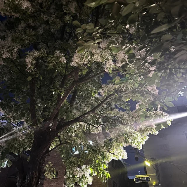 라라