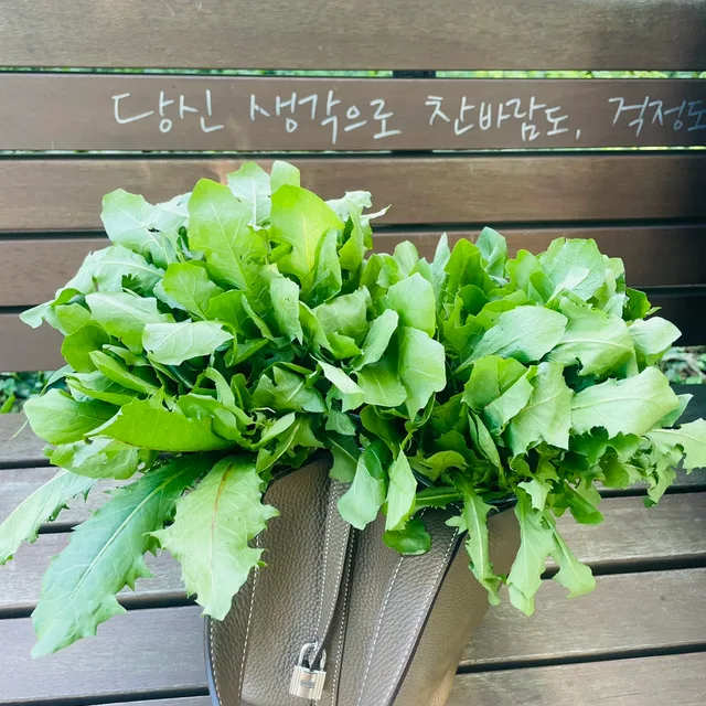 탄이마켓