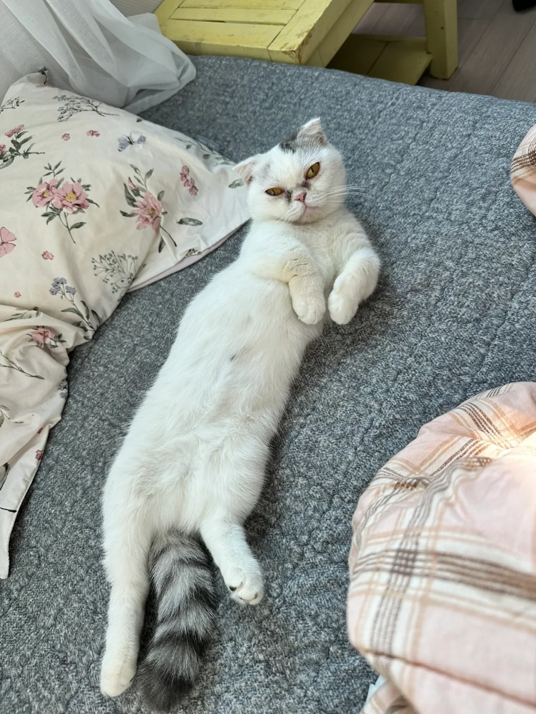 이예주