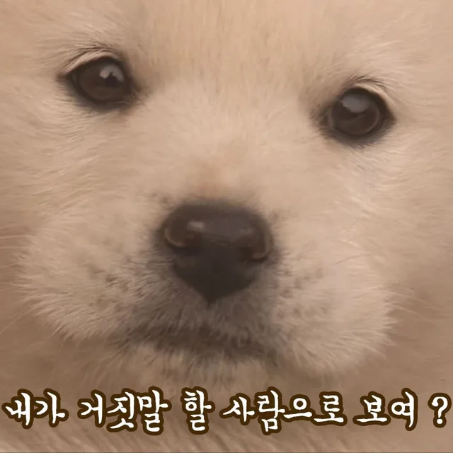 햄톨