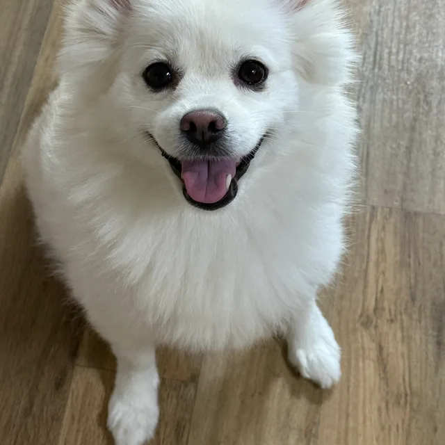 왕춘삼