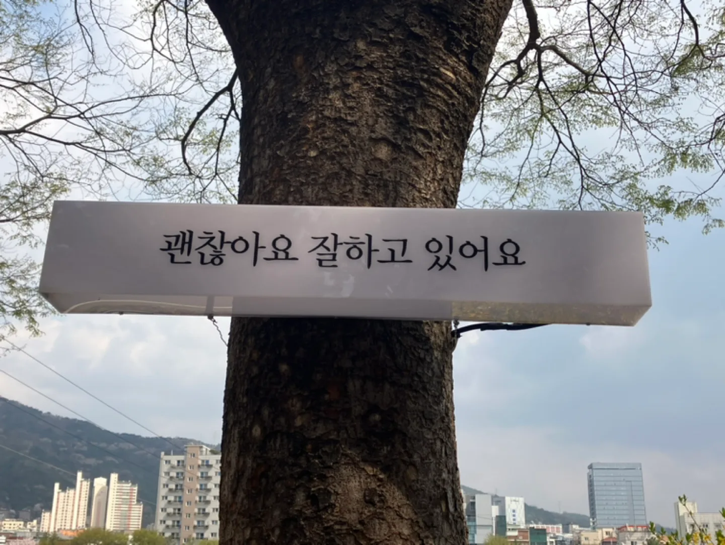 로미