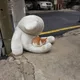 집보내줘
