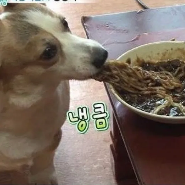 쩝쩝