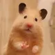 여기봐바