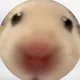 아나바다