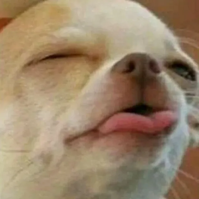 동골이