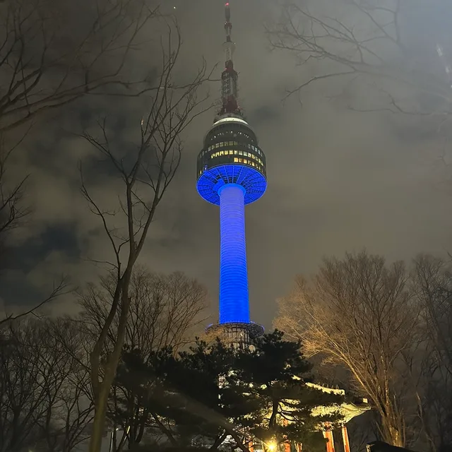 세련된두리안