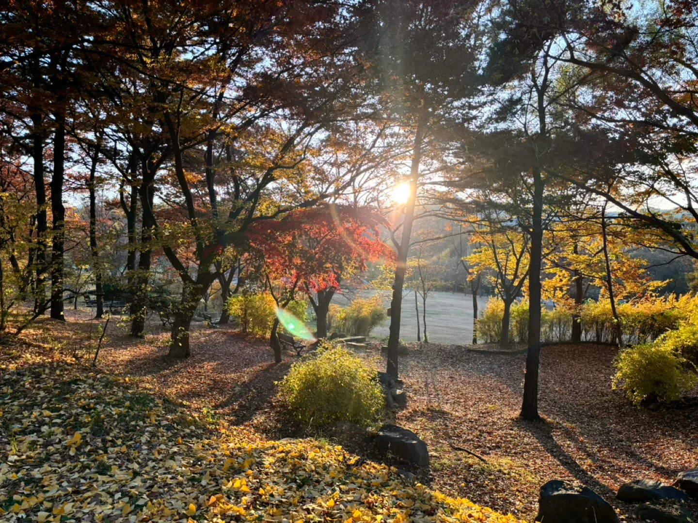 기림