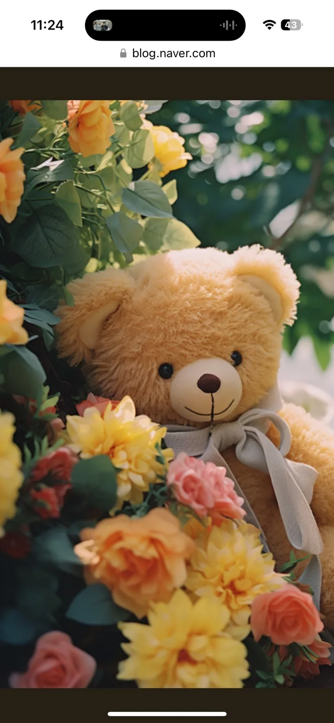 teddybear