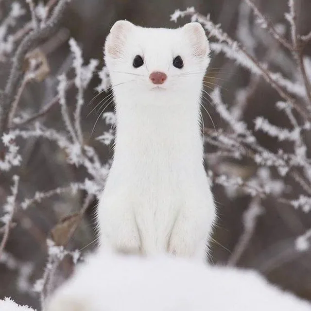 누구세요