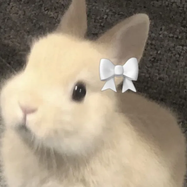 러브투투