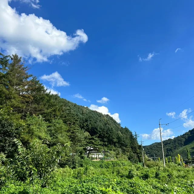 브리에