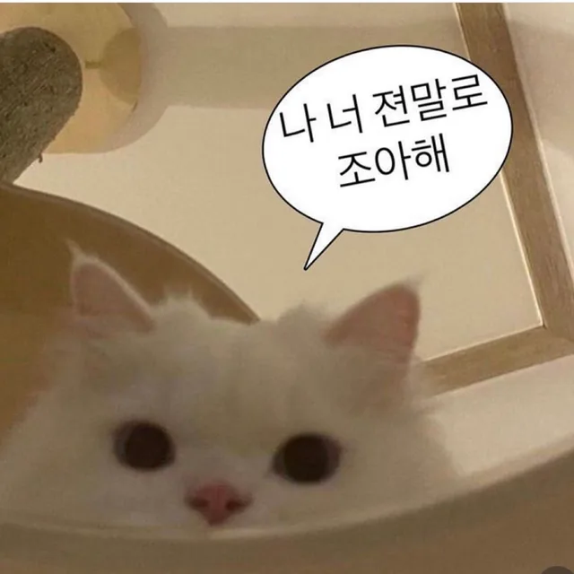 꾸리꼬리깡