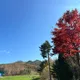 온정