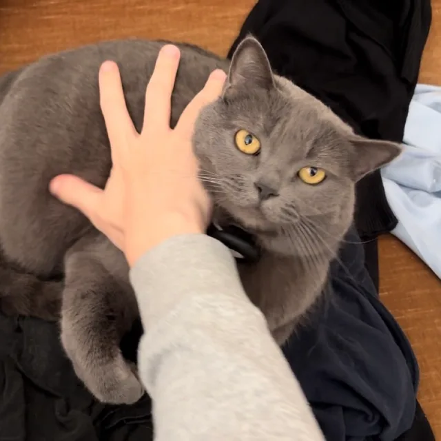 몽샤똥