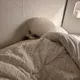 공봄