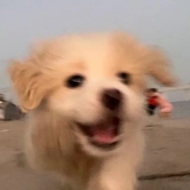 당군