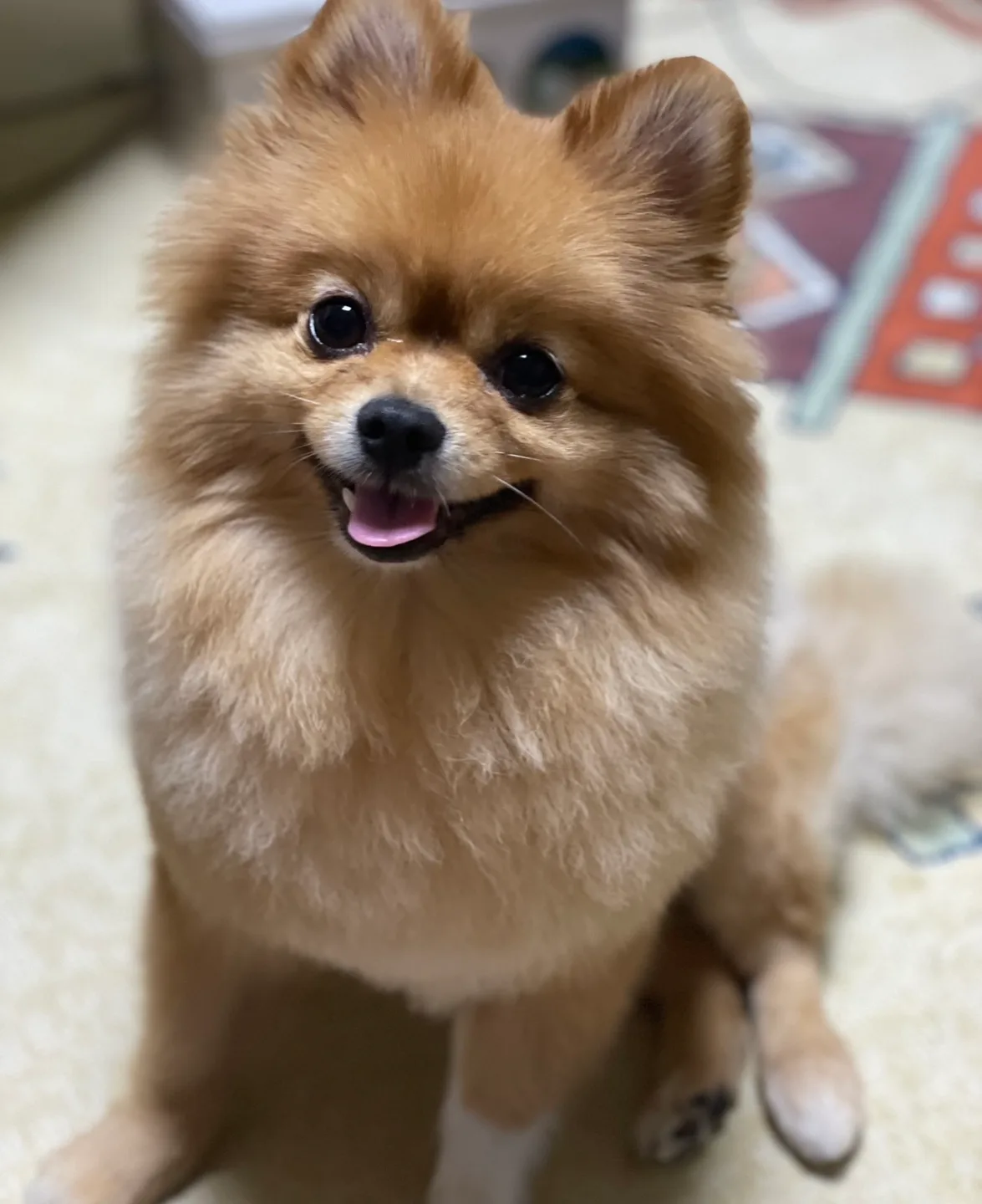 이기릇