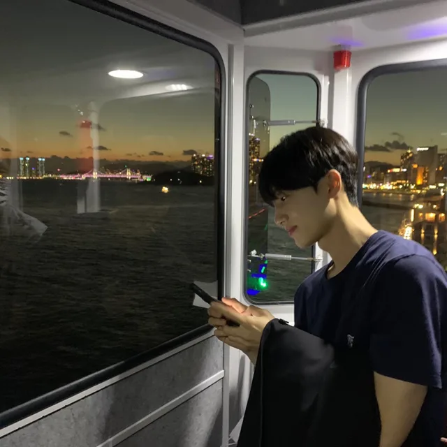 도비도비