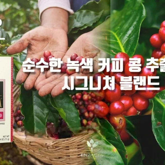 엔잭타코리아