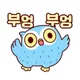 부엉부엉