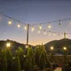 보리