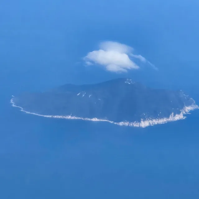 탄감자